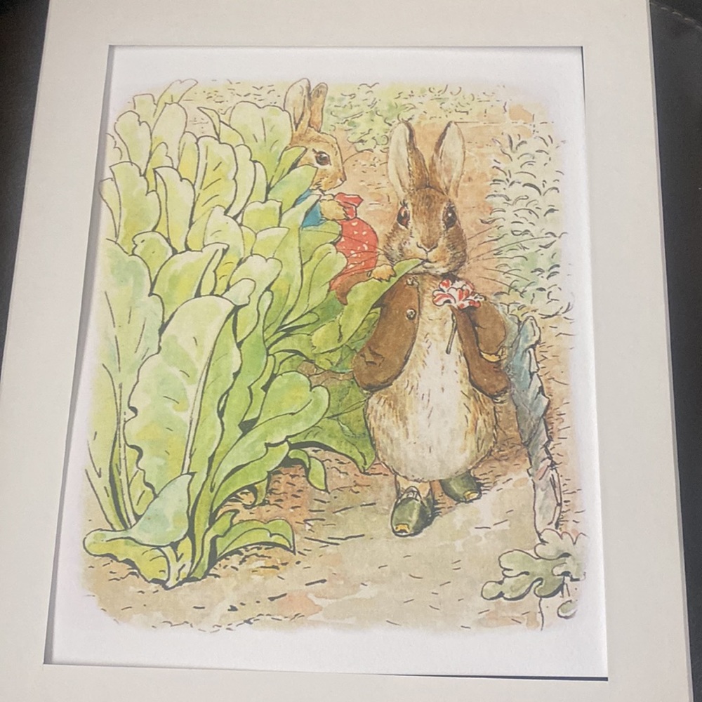 Peter Rabbit bedroom set - Picture 12 of 16
